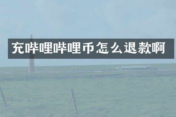 充哔哩哔哩币怎么退款啊