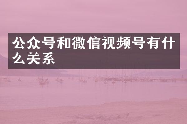 公众号和微信视频号有什么关系