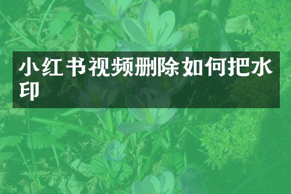小红书视频删除如何把水印