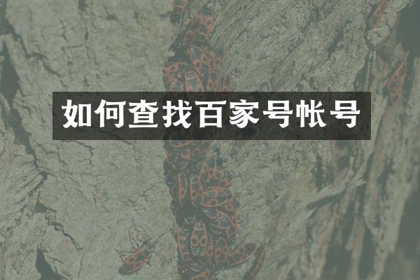 如何查找百家号帐号