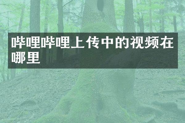 哔哩哔哩上传中的视频在哪里