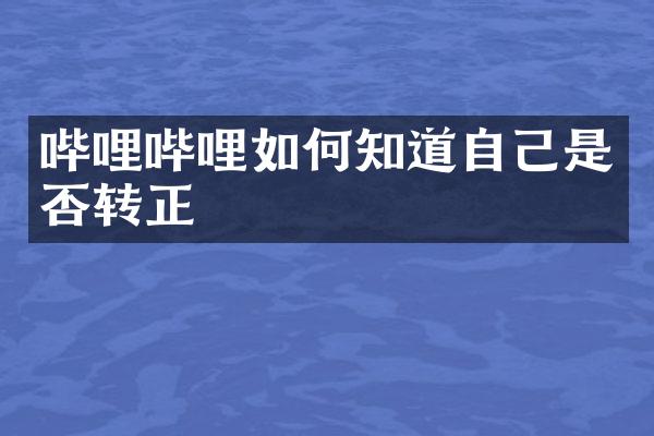 哔哩哔哩如何知道自己是否转正