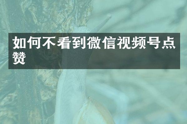 如何不看到微信视频号点赞