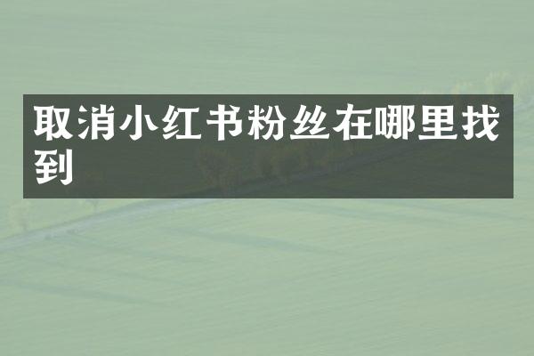 取消小红书粉丝在哪里找到