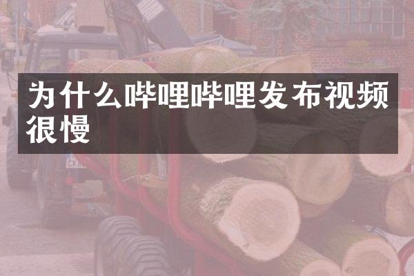 为什么哔哩哔哩发布视频很慢