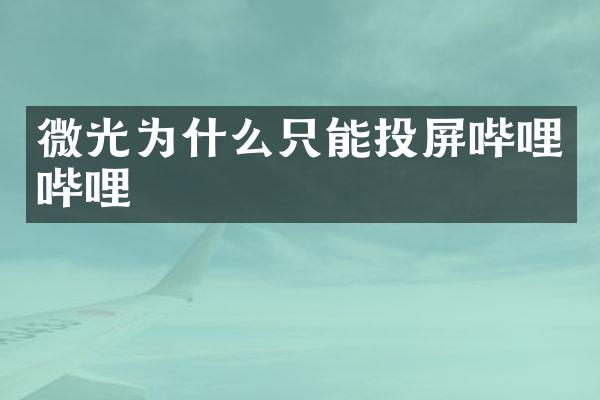 微光为什么只能投屏哔哩哔哩