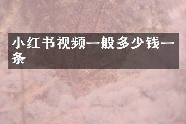 小红书视频一般多少钱一条