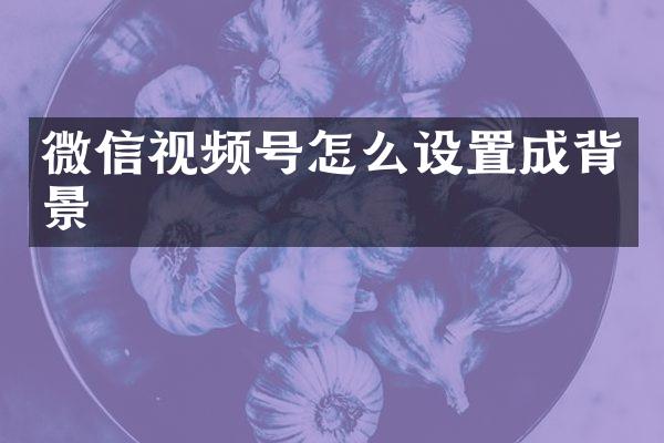 微信视频号怎么设置成背景