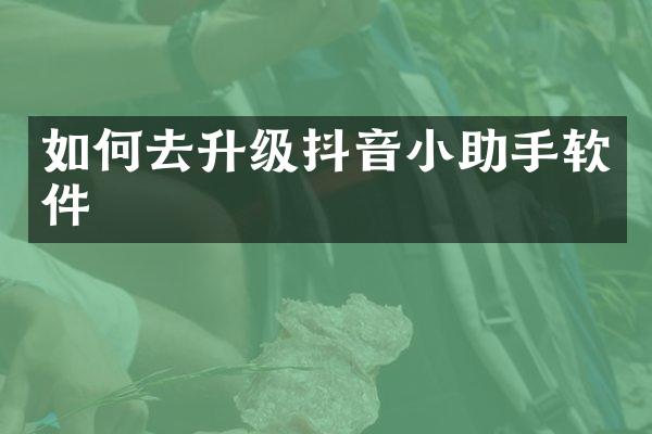 如何去升级抖音小助手软件