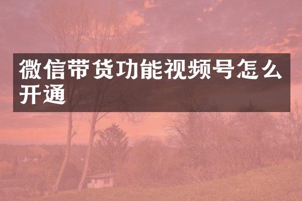 微信带货功能视频号怎么开通