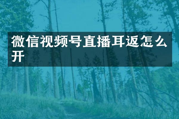 微信视频号直播耳返怎么开
