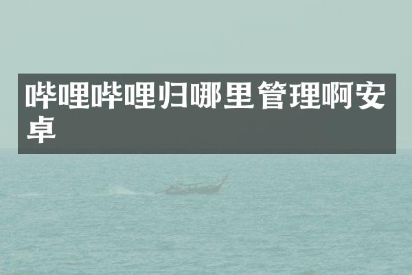 哔哩哔哩归哪里管理啊安卓