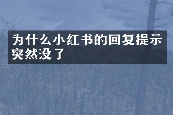 为什么小红书的回复提示突然没了