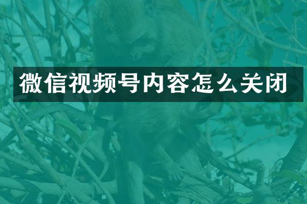 微信视频号内容怎么关闭