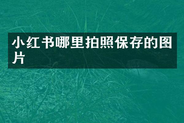 小红书哪里拍照保存的图片