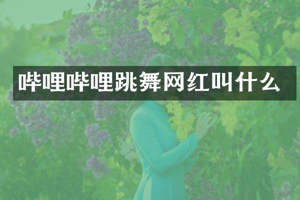 哔哩哔哩跳舞网红叫什么