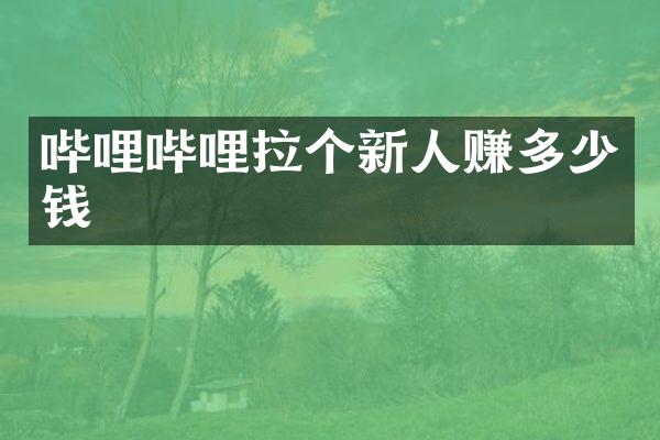 哔哩哔哩拉个新人赚多少钱