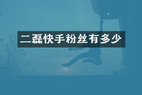 二磊快手粉丝有多少