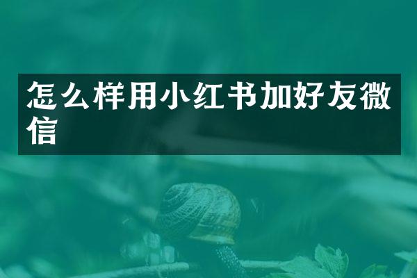 怎么样用小红书加好友微信