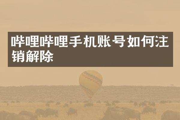哔哩哔哩手机账号如何注销解除
