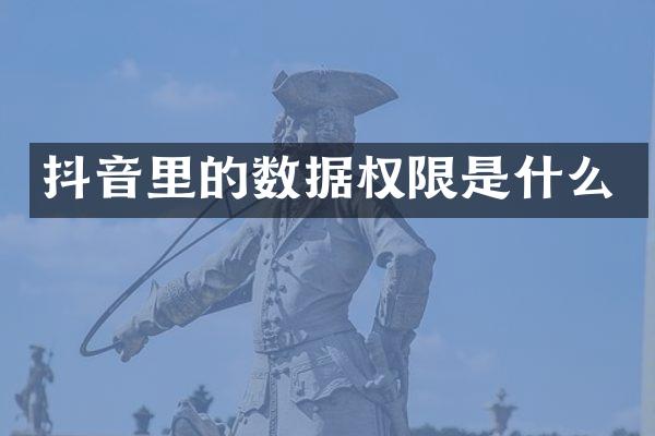 抖音里的数据权限是什么