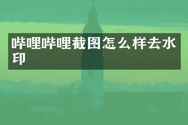 哔哩哔哩截图怎么样去水印