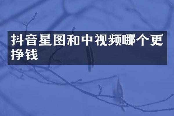 抖音星图和中视频哪个更挣钱