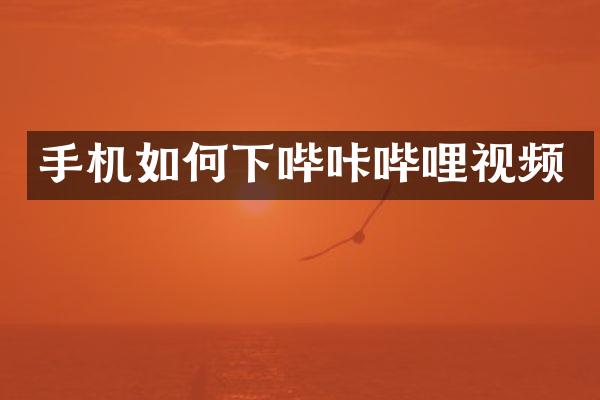 手机如何下哔咔哔哩视频