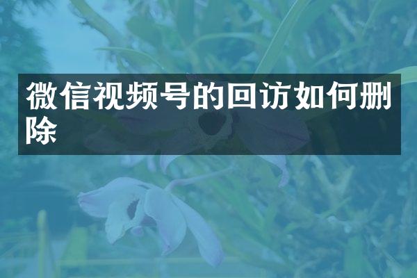 微信视频号的回访如何删除
