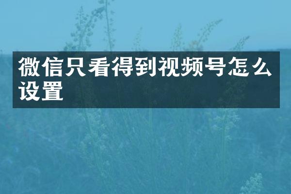 微信只看得到视频号怎么设置