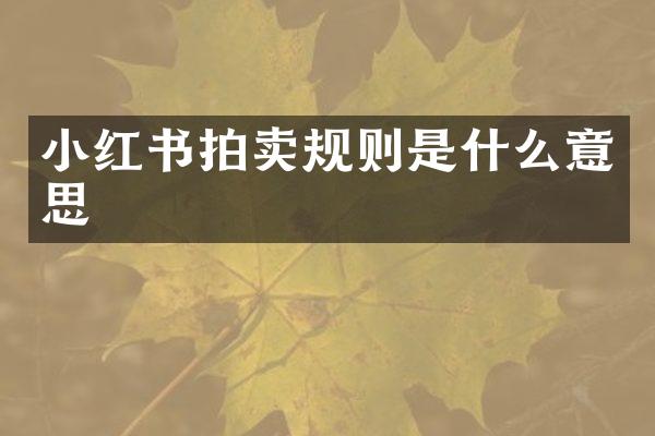 小红书拍卖规则是什么意思