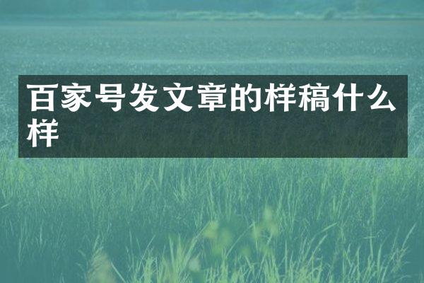 百家号发文章的样稿什么样