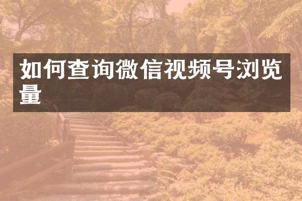 如何查询微信视频号浏览量