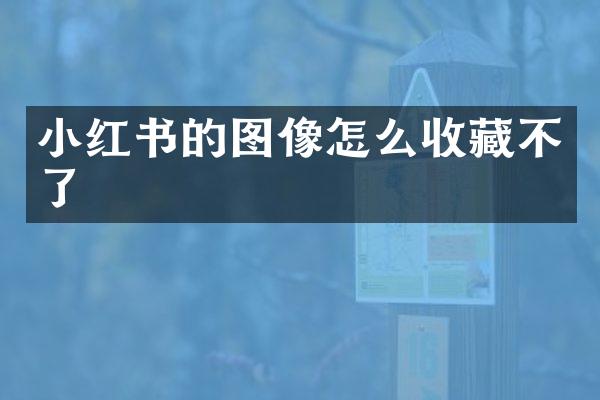 小红书的图像怎么收藏不了