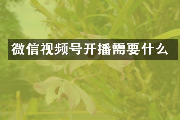 微信视频号开播需要什么