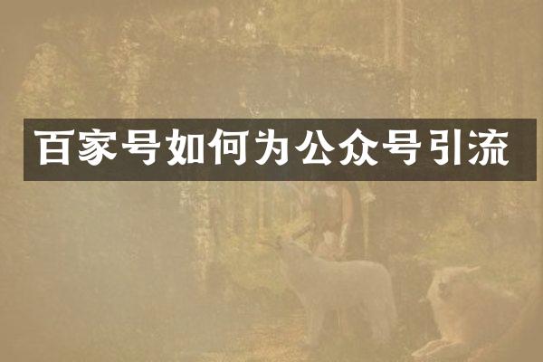 百家号如何为公众号引流