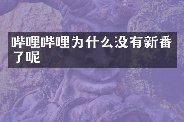 哔哩哔哩为什么没有新番了呢