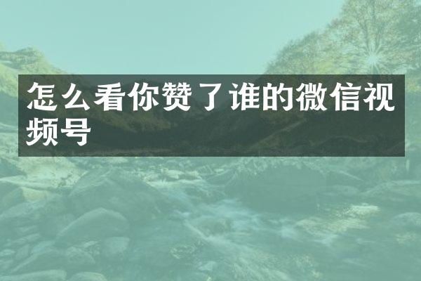 怎么看你赞了谁的微信视频号