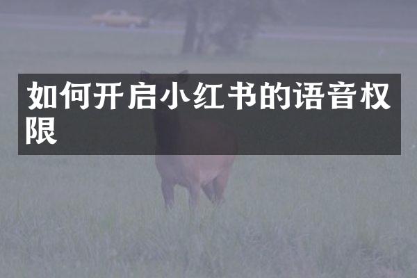 如何开启小红书的语音权限