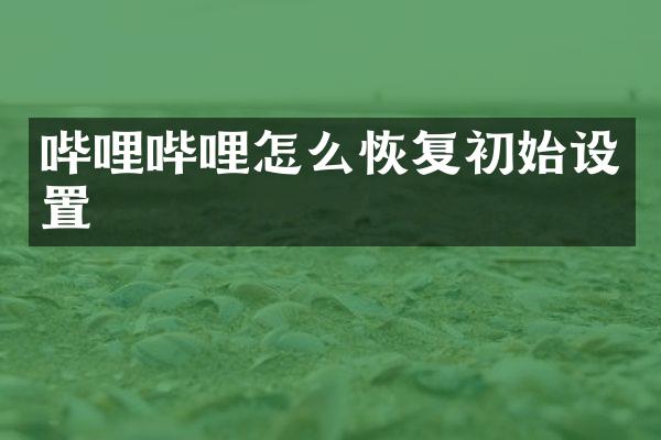 哔哩哔哩怎么恢复初始设置