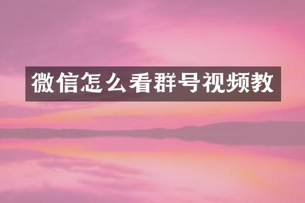 微信怎么看群号视频教
