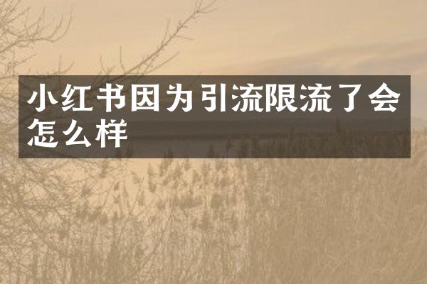 小红书因为引流限流了会怎么样