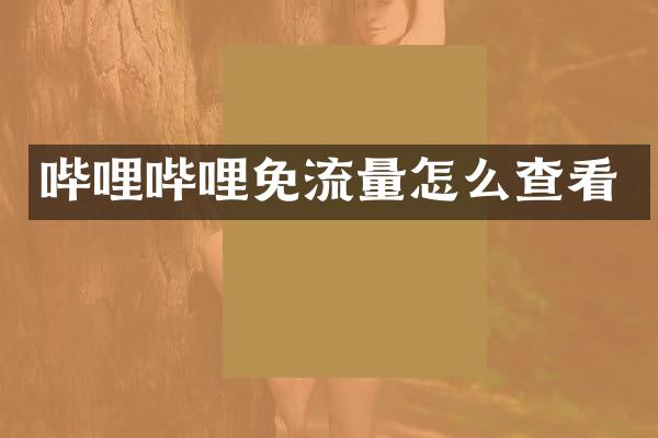 哔哩哔哩免流量怎么查看