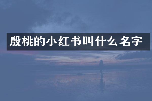 殷桃的小红书叫什么名字