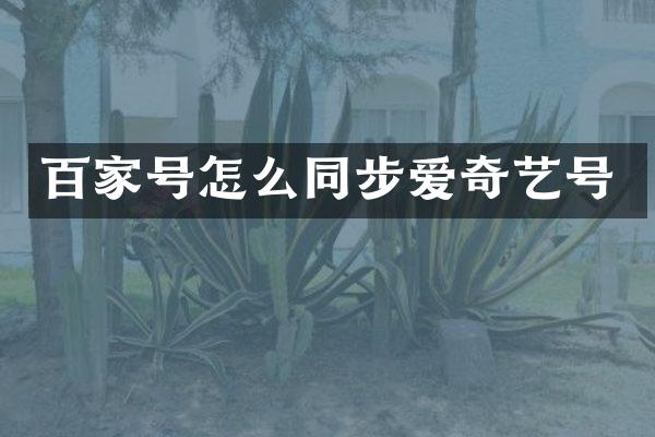 百家号怎么同步爱奇艺号