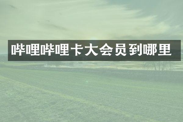 哔哩哔哩卡大会员到哪里