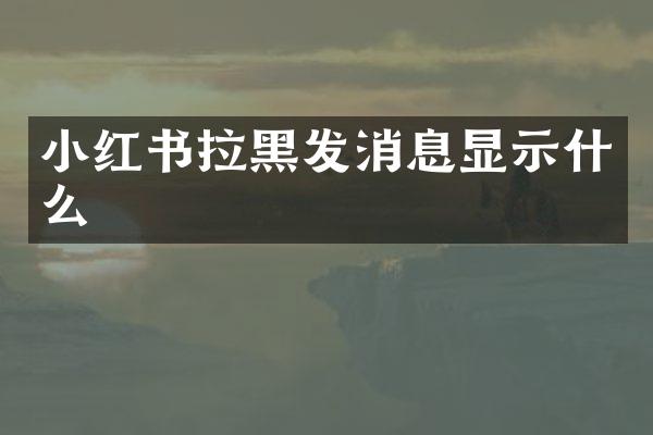 小红书拉黑发消息显示什么