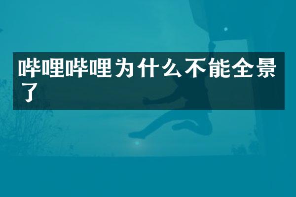 哔哩哔哩为什么不能全景了