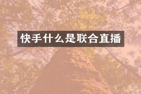 快手什么是联合直播