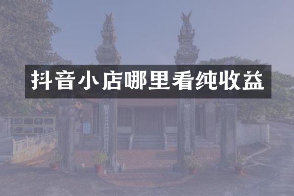 抖音小店哪里看纯收益